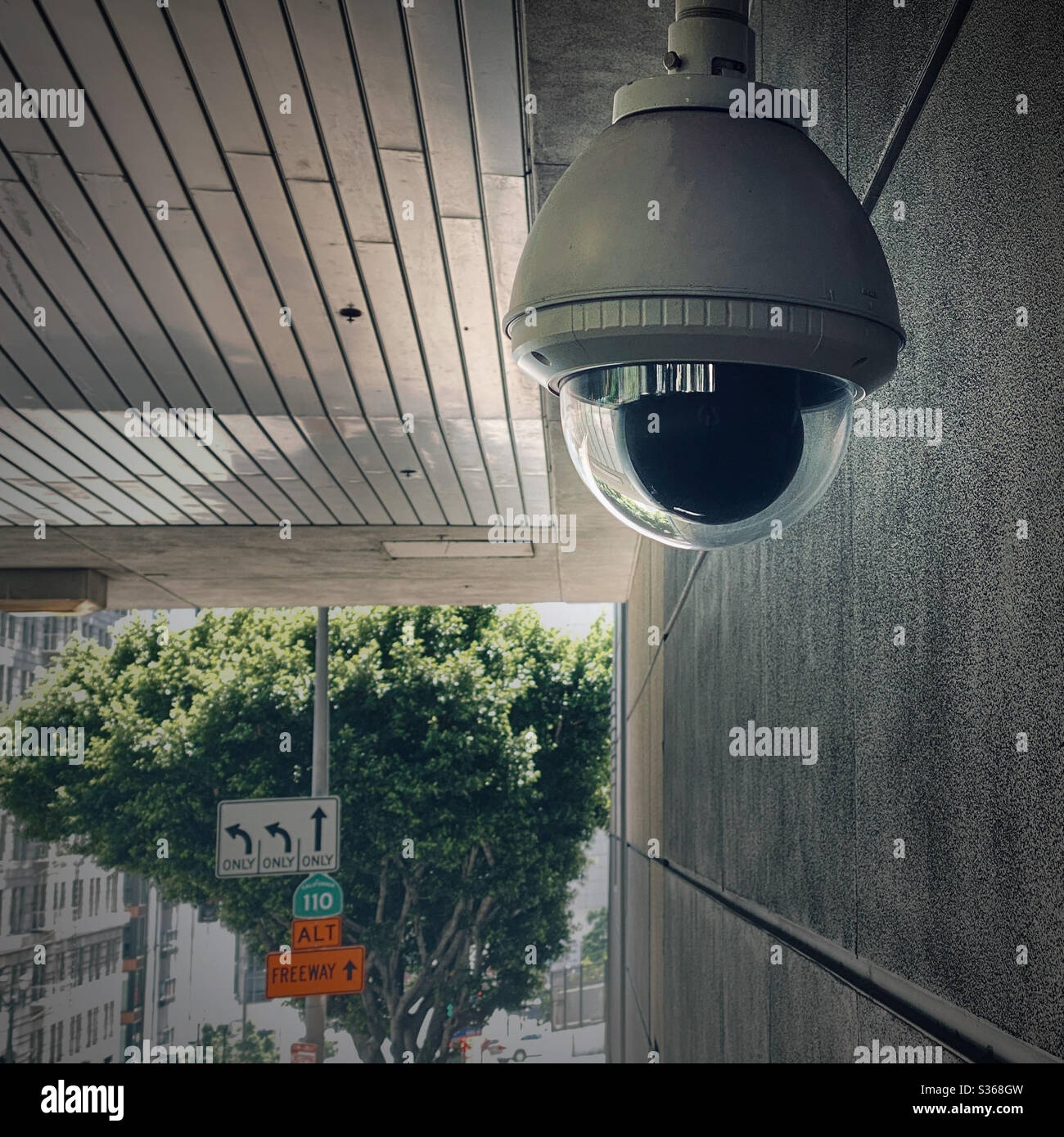 Close up on security camera in a transparent, half-dome on wall with part of a tree visible in the background - Smartphone Captured Stock Image
