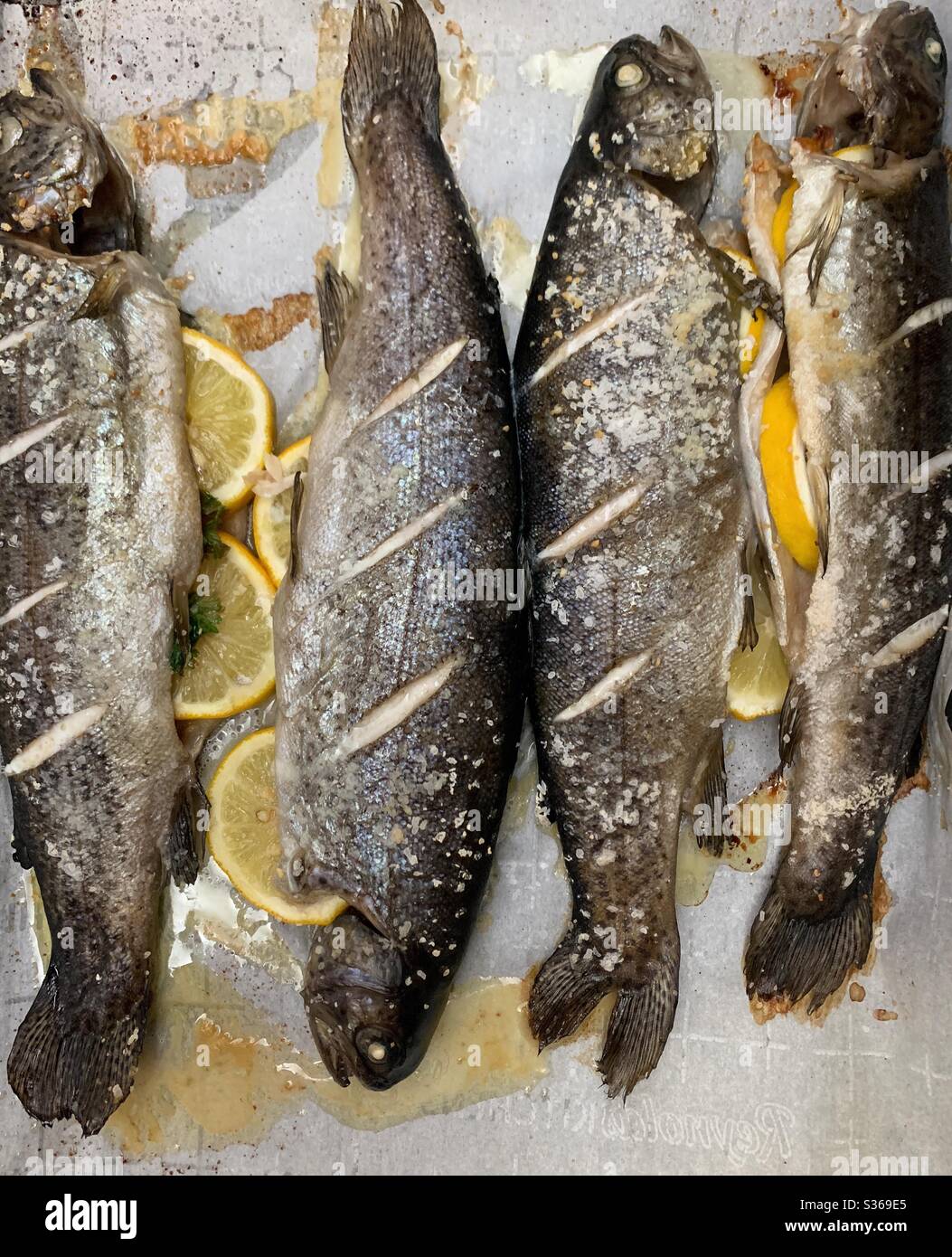 Whole trout cooked and ready to eat Stock Photo Alamy