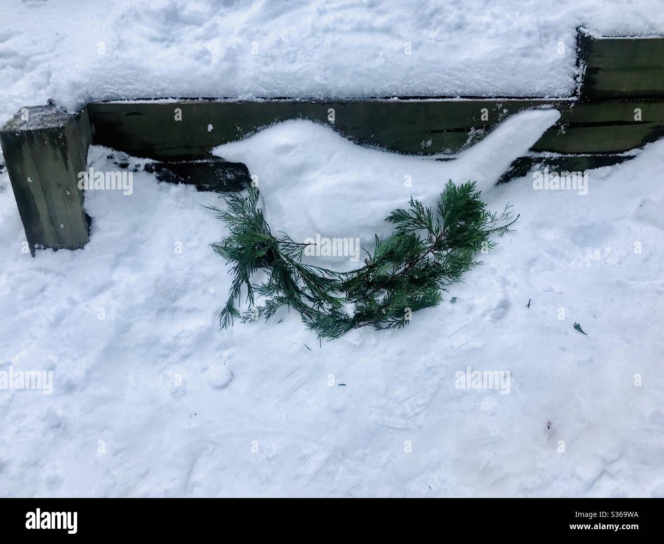 A snow creation of a nesting bird with pine branches surrounding it. Stock Photo