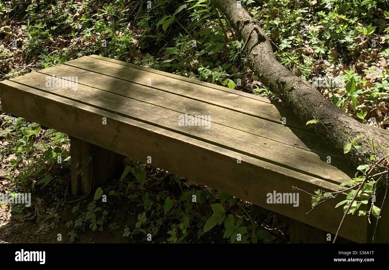DUBUQUE, IOWA, May 15, 2020--Closeup photo of fallen tree on top of wooden park bench amidst green vegetation in park on a sunny spring day. Stock Photo