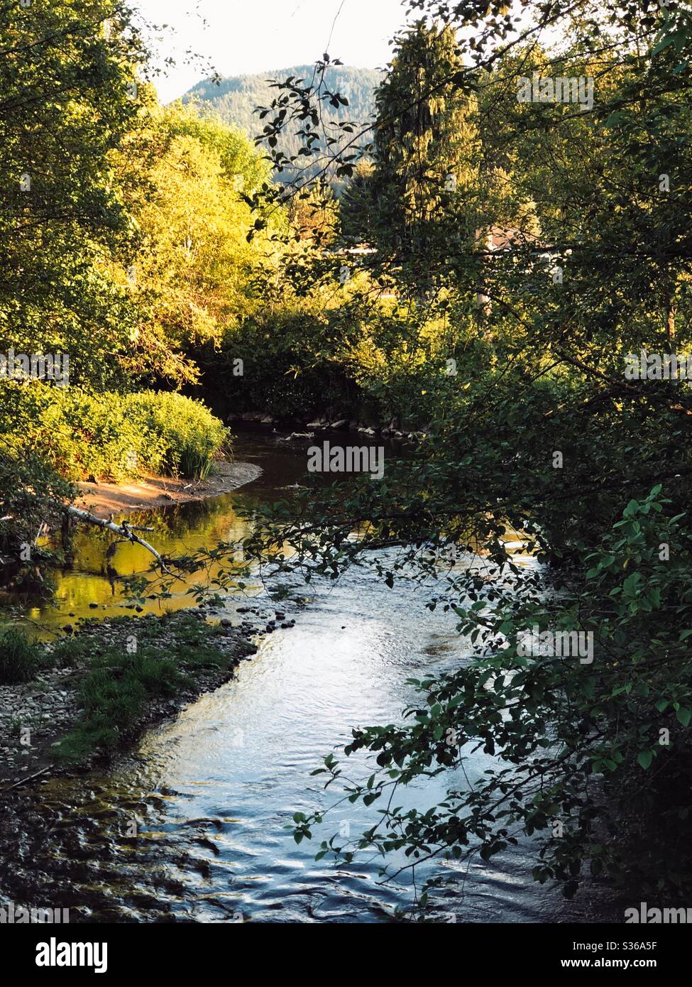 Beautiful Pacific Northwest in spring - Smartphone Captured Stock Image Beautiful Pacific Northwest in spring - Smartphone Captured Stock Image