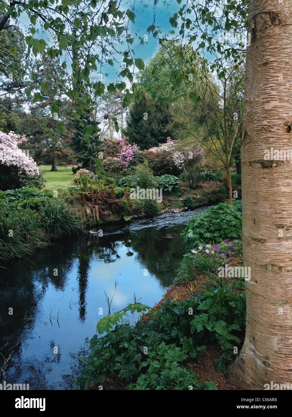 River Tolka flowing through lush spring gardens in Glasnevin, Dublin, Ireland. Reflections of trees and flowers on calm water in serene daylight. - Smartphone Captured Stock Image River Tolka flowing through lush spring gardens in Glasnevin, Dublin, Ireland. Reflections of trees and flowers on calm water in serene daylight. - Smartphone Captured Stock Image