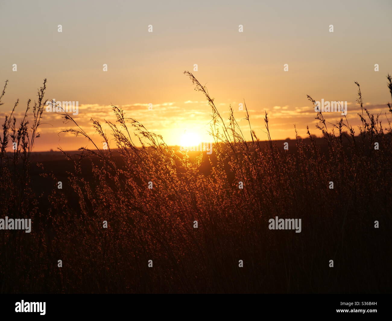 Late winter afternoon sun on the high veld in South Africa Stock Photo