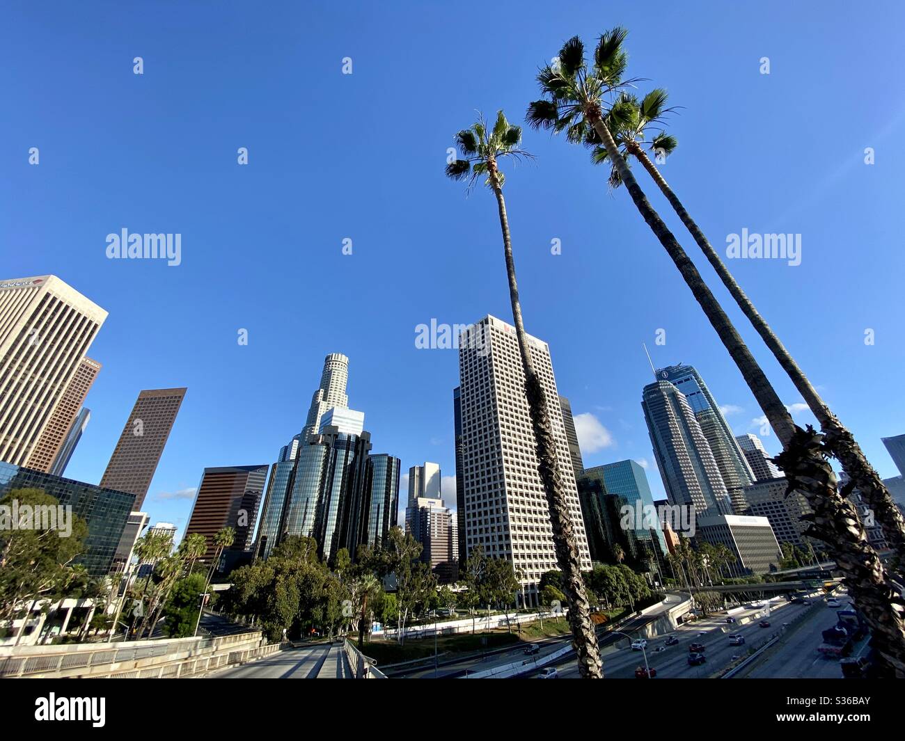 LOS ANGELES, CA, MAY 2020: palm trees in foreground, towering over the Downtown skyline, seen from the west side of the CA-110 freeway - Smartphone Captured Stock Image