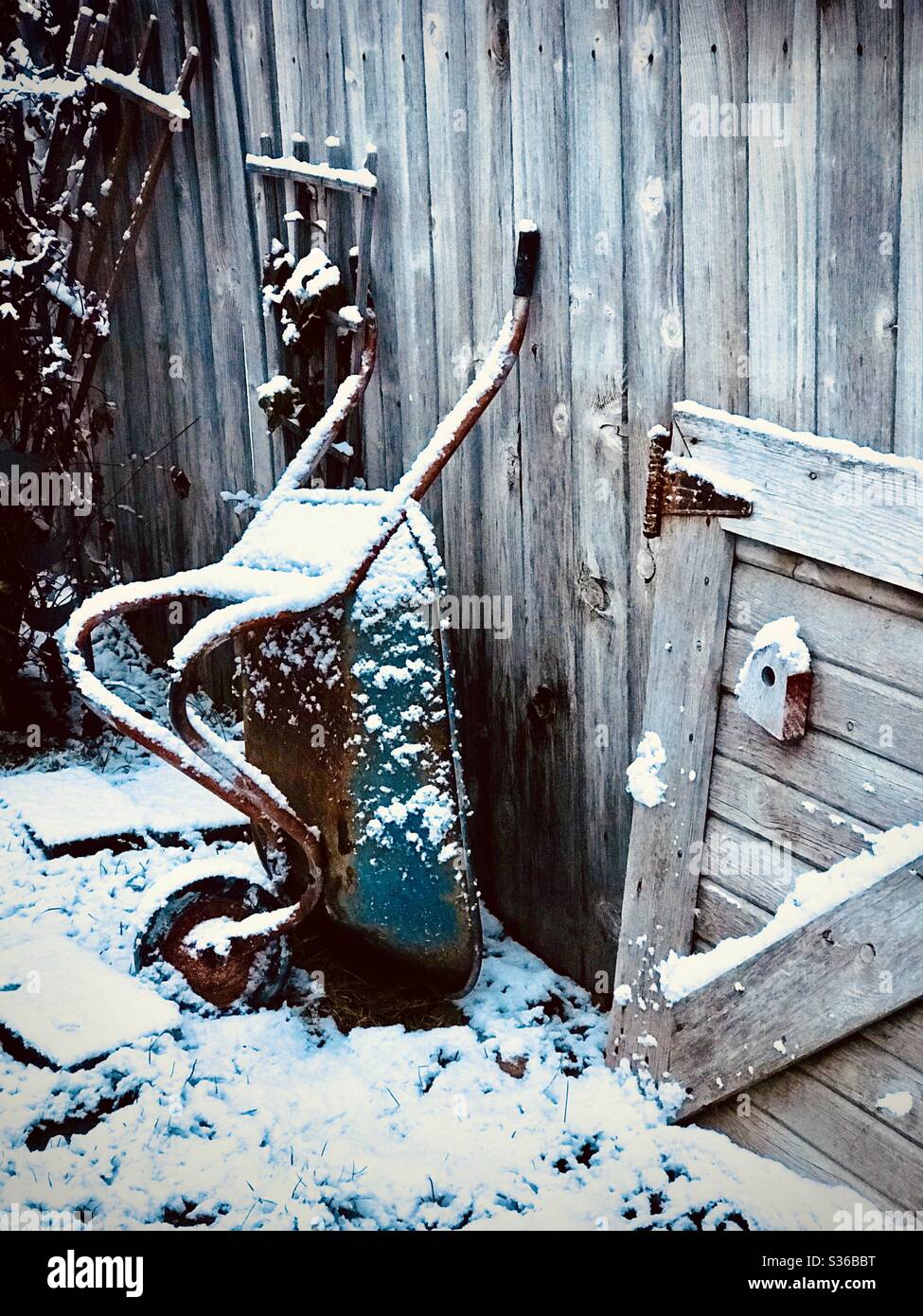 A wheelbarrow leaning against a wood fence in the winter snow. Stock Photo