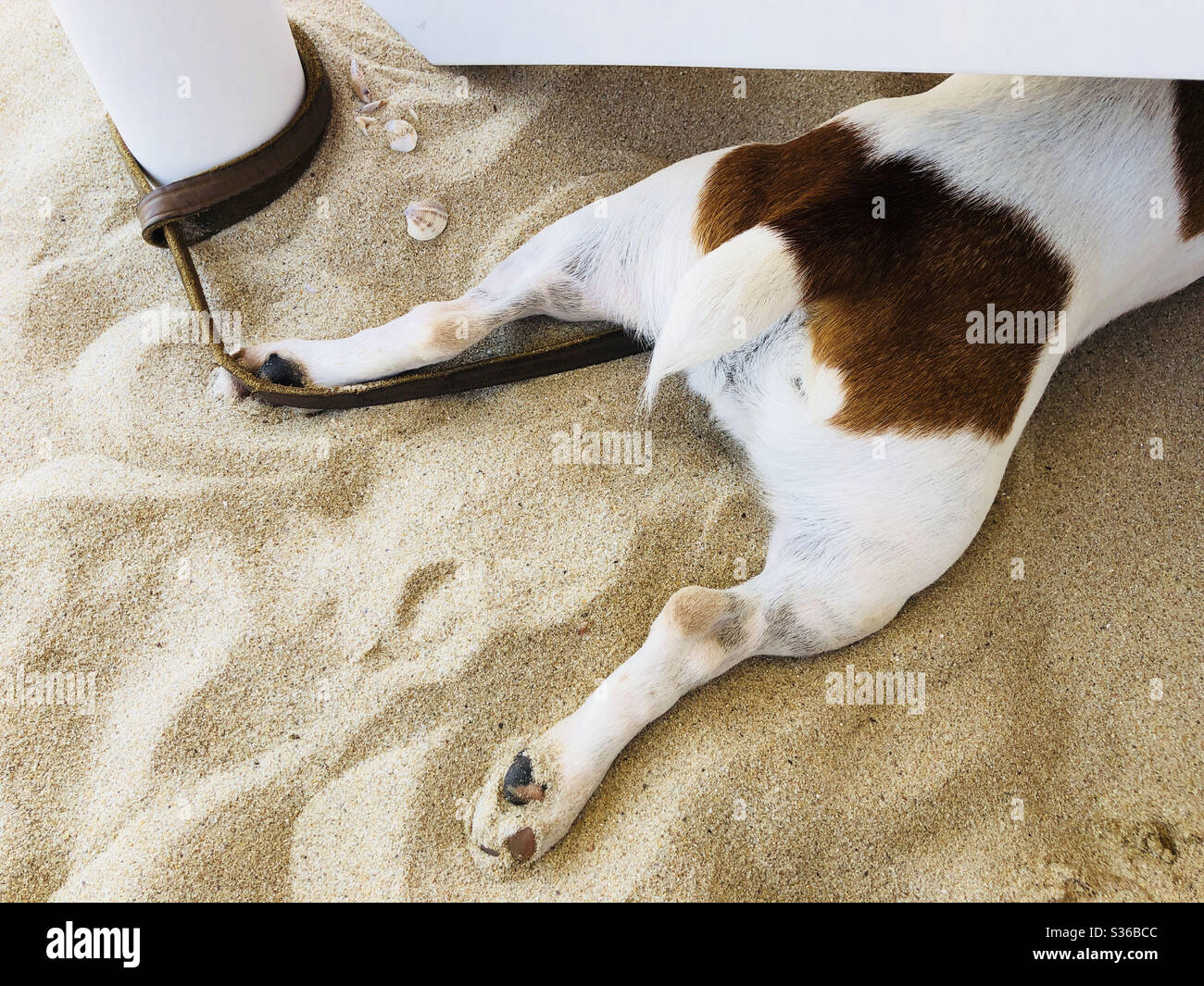 Feeling hot hires stock photography and images Alamy