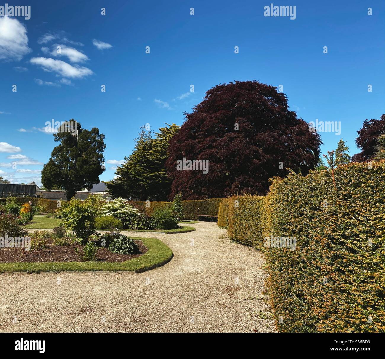 The many colours of spring in Corcagh Park, Clondalkin, Ireland. - Smartphone Captured Stock Image