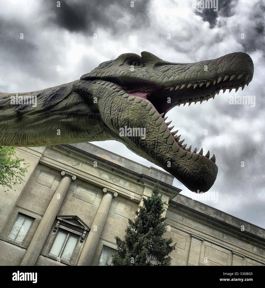 Dinosaur attack - Smartphone Captured Stock Image