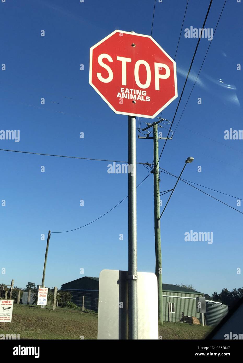 Stop Sign, with additional wording ‘Eating Animals’ written below. - Smartphone Captured Stock Image
