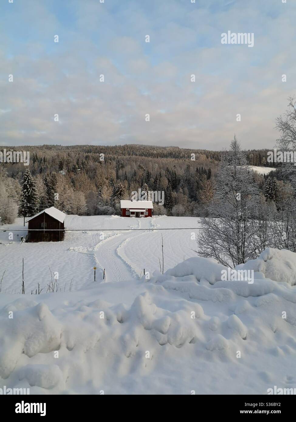 Winter in Sweden 2020 Stock Photo