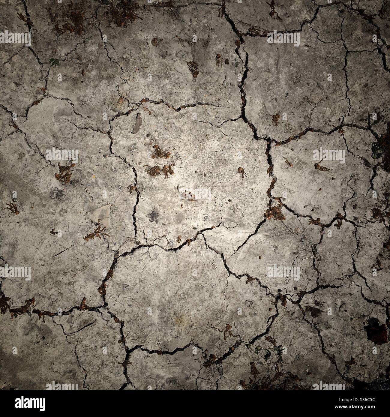 A photograph of dry parched ground in a garden, drought conditions. Dry soil in need of rain. - Smartphone Captured Stock Image