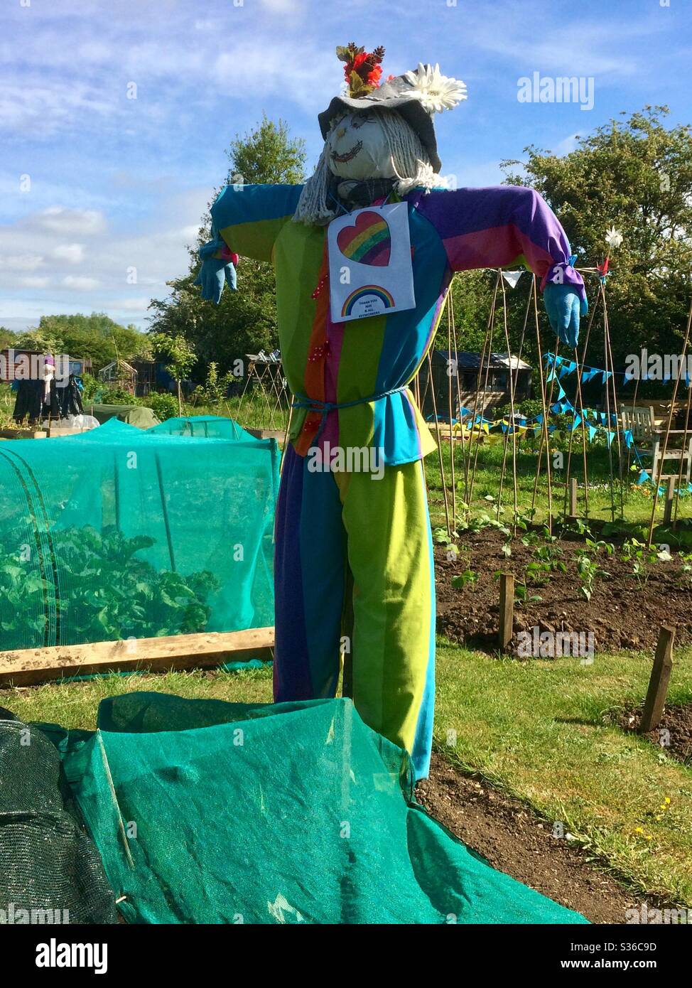 NHS and Keyworker colourful scarecrow in an allotment, England, UK ...