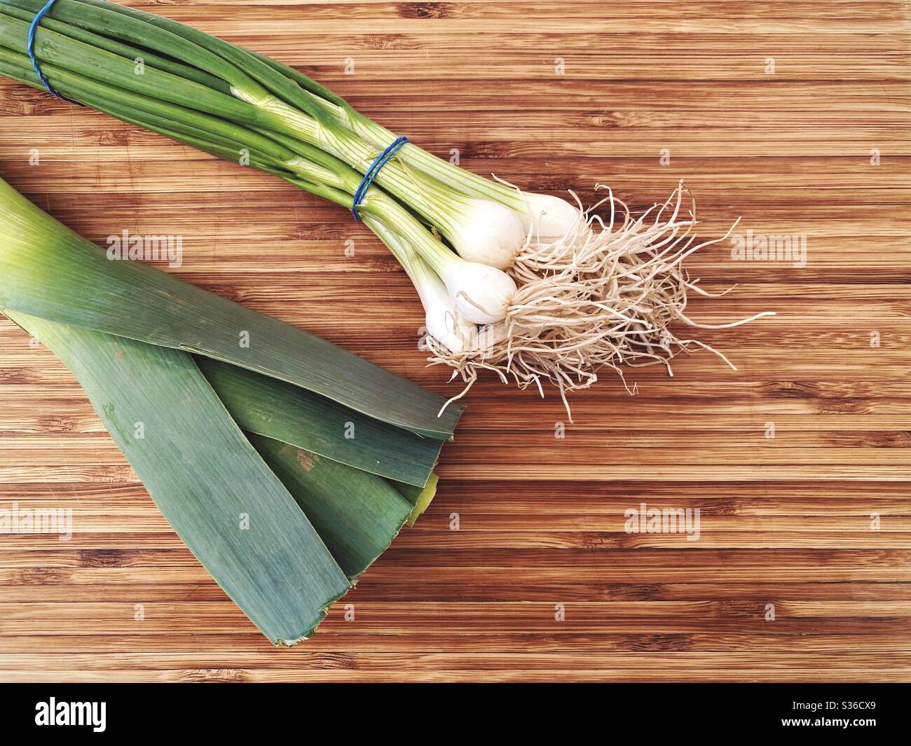 Closeup top down view of spring onions and a leek on a rustic wooden chopping board with copy space. Ingredients for making leek soup. - Smartphone Captured Stock Image Closeup top down view of spring onions and a leek on a rustic wooden chopping board with copy space. Ingredients for making leek soup. - Smartphone Captured Stock Image