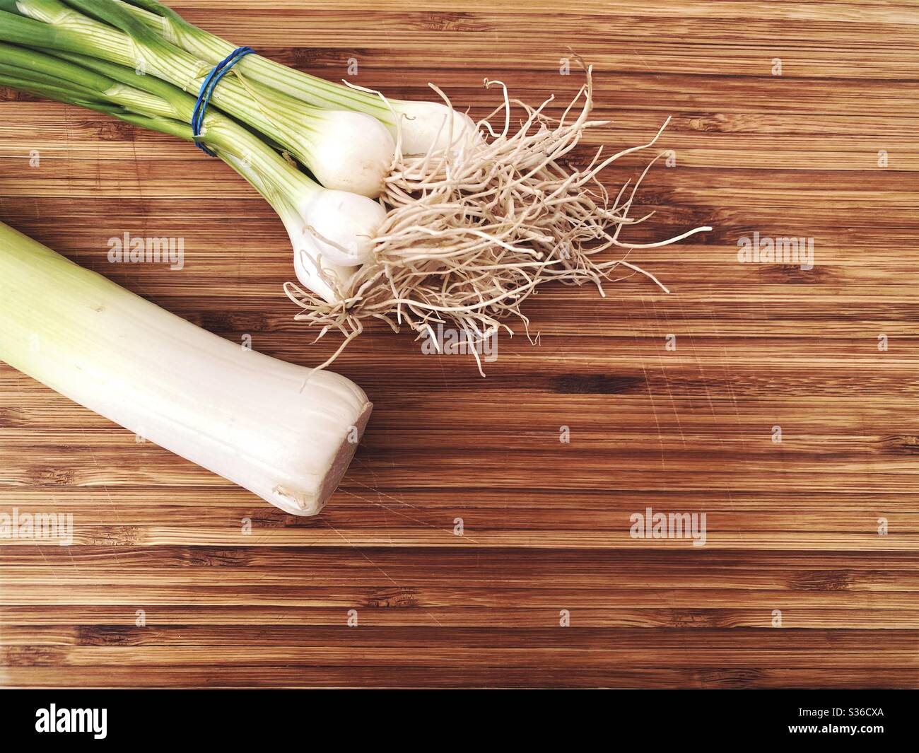 Closeup top down view of spring onions and a leek on a rustic wooden chopping board with copy space. Ingredients for making leek soup. - Smartphone Captured Stock Image Closeup top down view of spring onions and a leek on a rustic wooden chopping board with copy space. Ingredients for making leek soup. - Smartphone Captured Stock Image