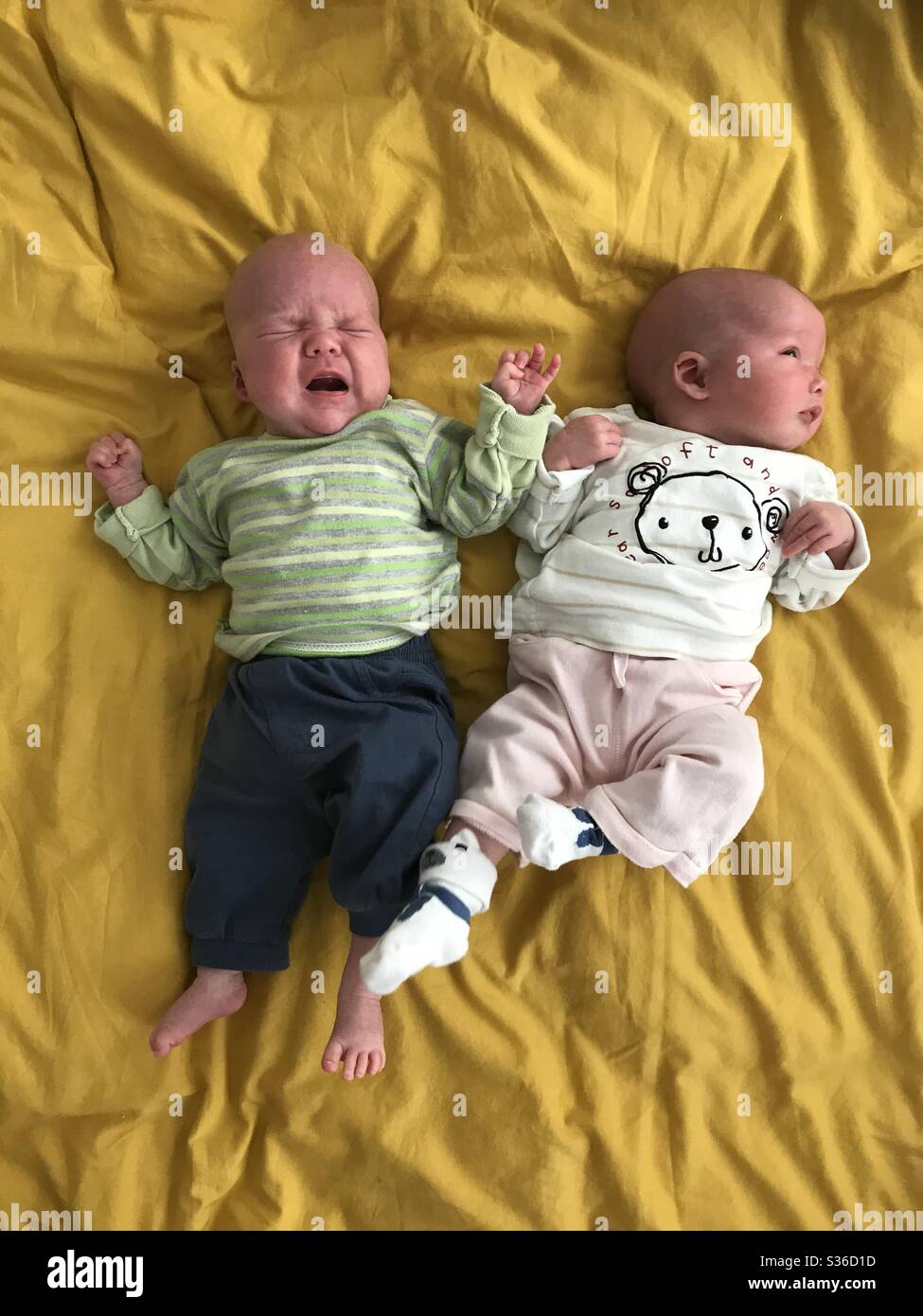 Male and female twins (6 weeks old) on a yellow bed sheet. London