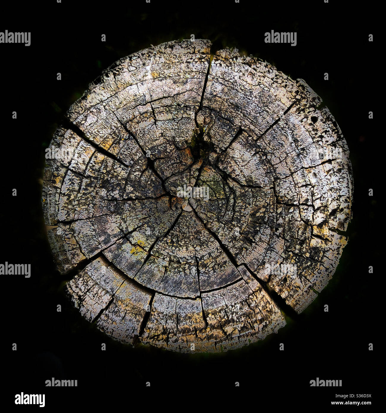 Wooden Pole on Black Background Stock Photo