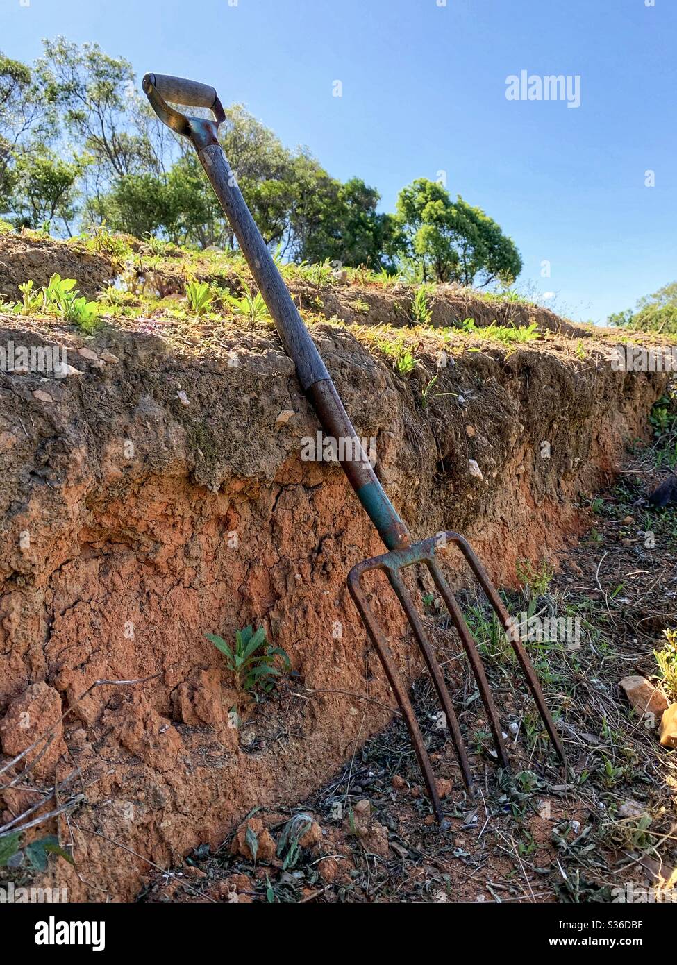 Garden fork - Smartphone Captured Stock Image