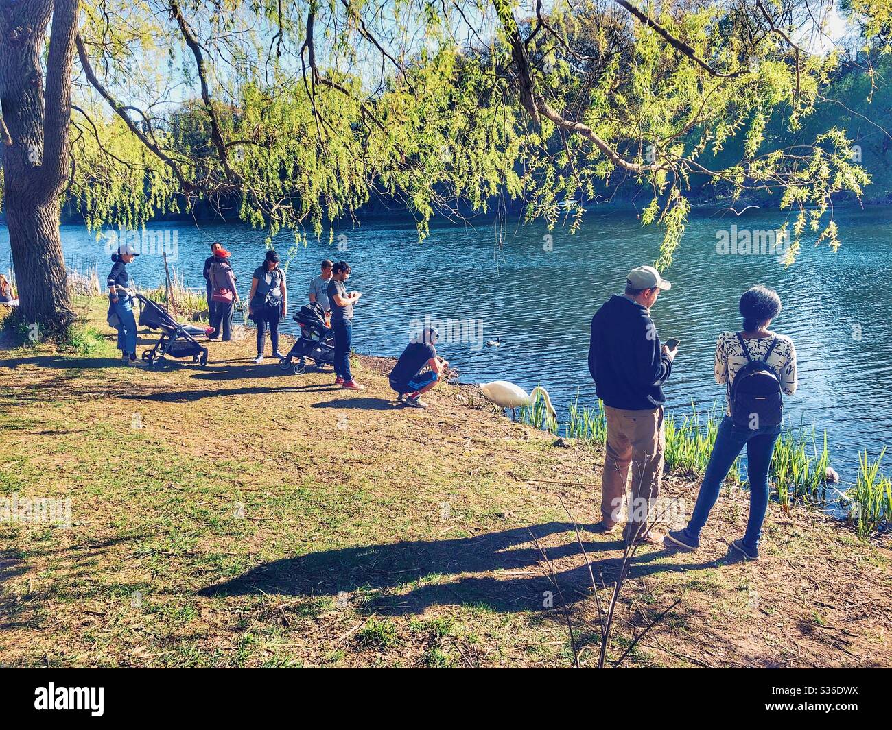 People enjoying a lovely spring day by the pond. - Smartphone Captured Stock Image