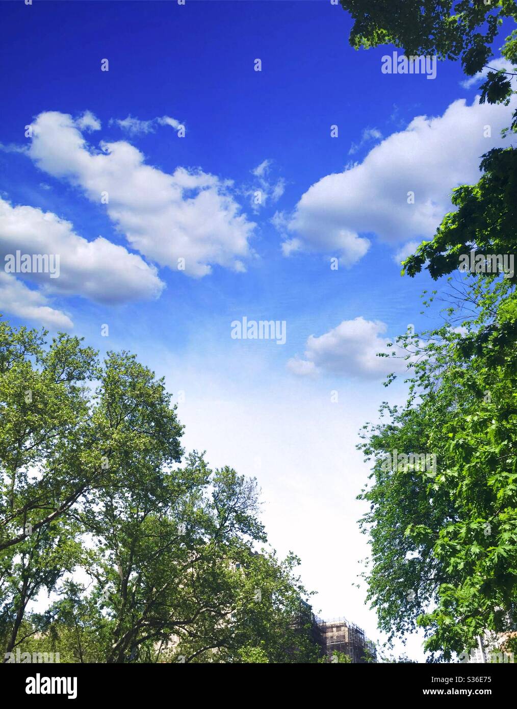 A bright sunny summer day with a blue sky fluffy white clouds above ...