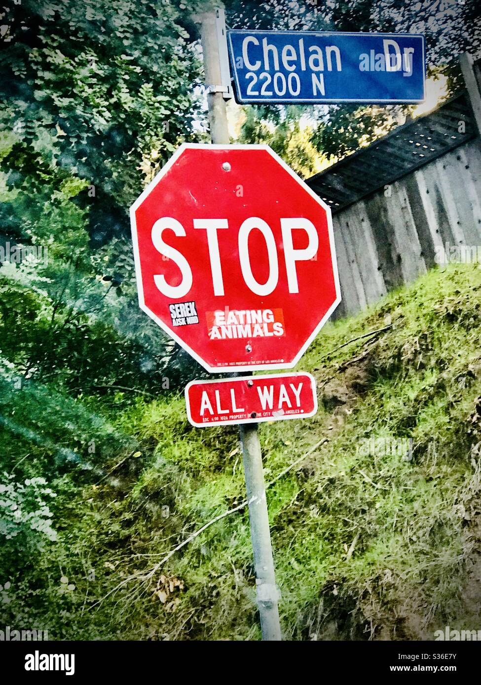 A stop sign with a bumper sticker placed in it to read, “Stop eating animals.” Stock Photo