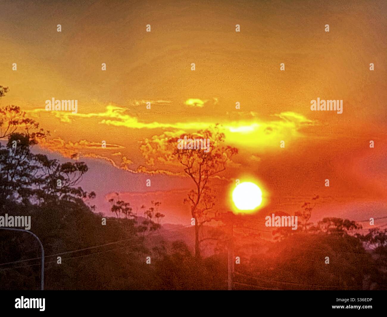Sunset on the coast of Australia , silhouetted gum trees and a warm tropical rainbow sunset of purple pink orange blue and yellow - Smartphone Captured Stock Image