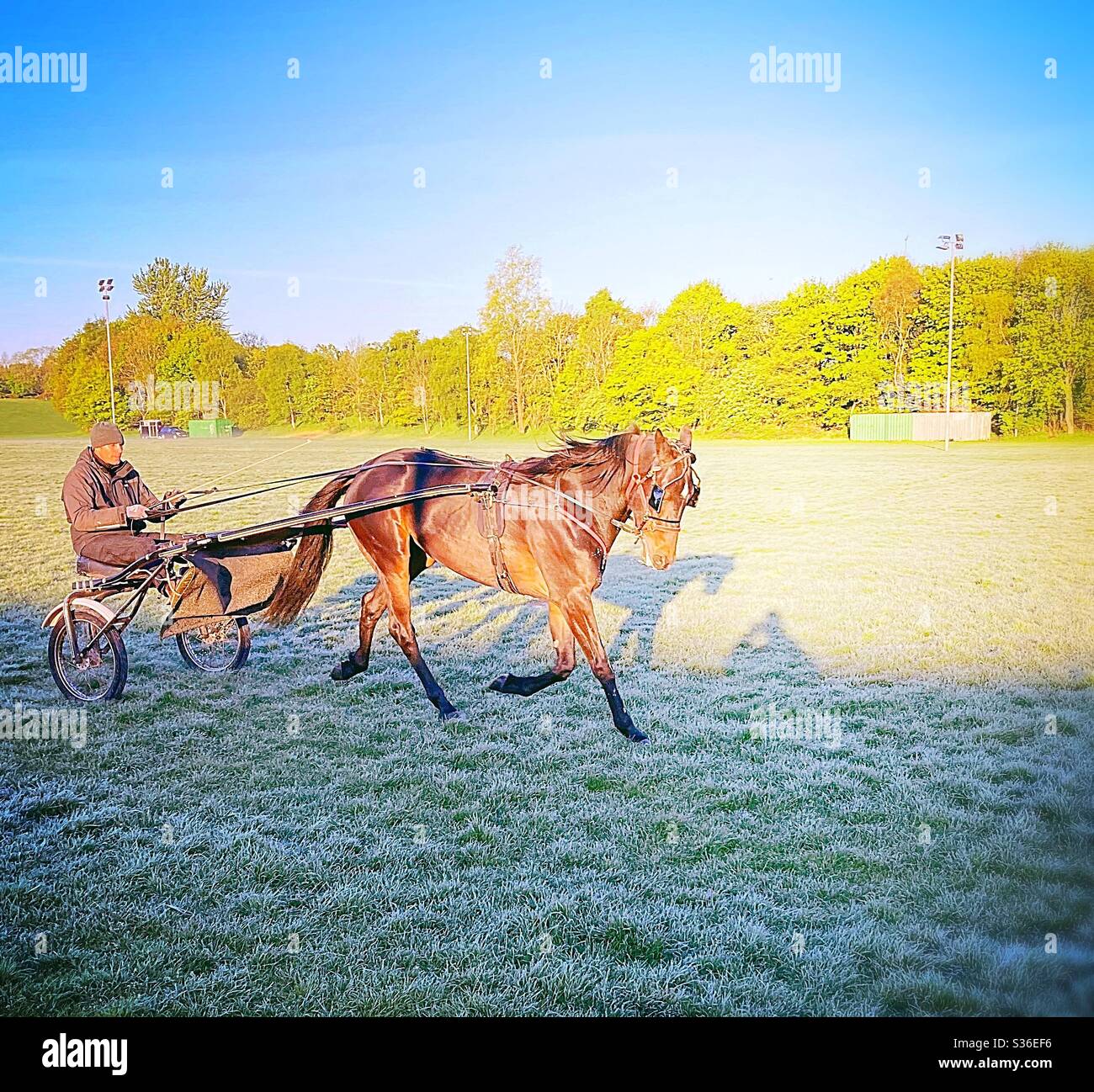 Horse & cart Stock Photo Alamy