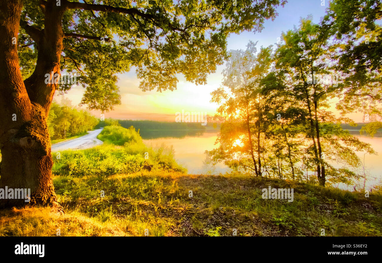 Colorful and dramatic sunrise or sunset sky over a forest lake, with ...