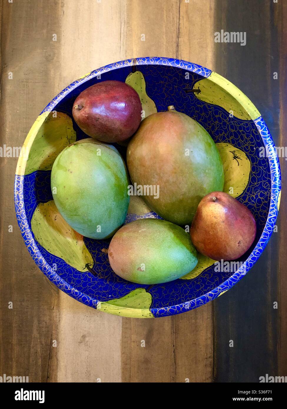 Overview of 3 mangoes and 2 Anjou pears in a round painted wooden bowl - Smartphone Captured Stock Image