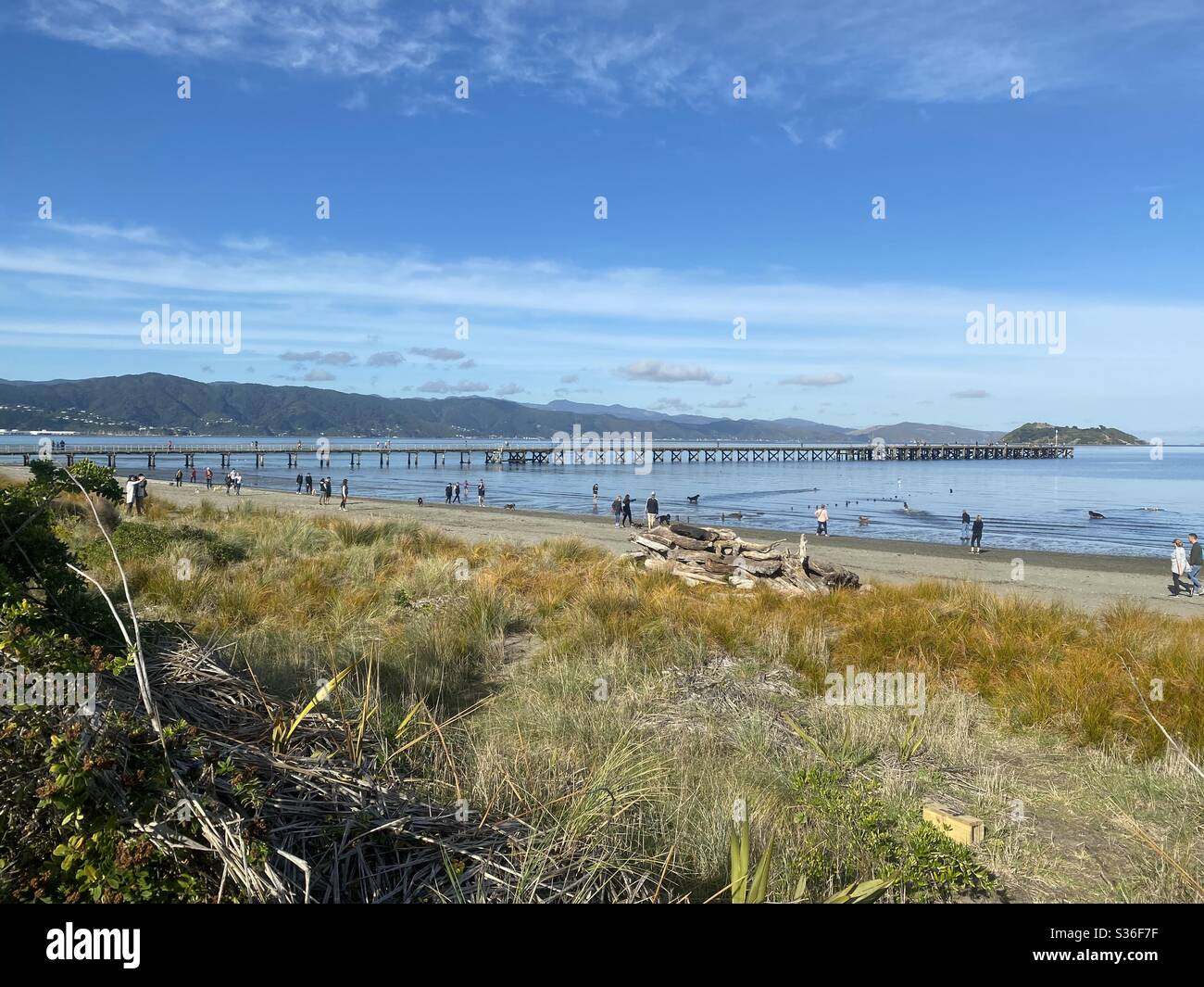 Wellington Harbour-Petone Beach Stock Photo