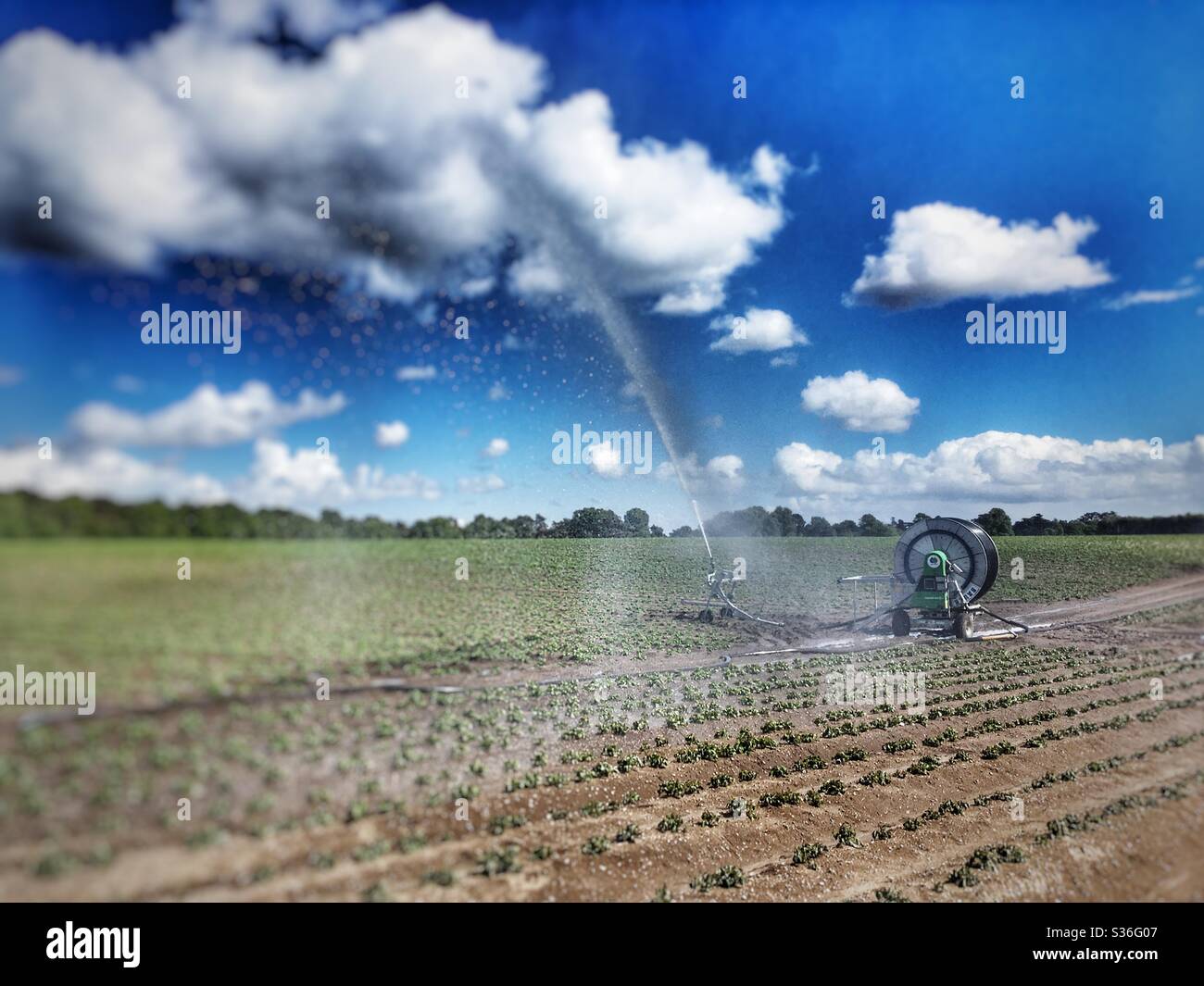 Potato crop irrigation hires stock photography and images Alamy