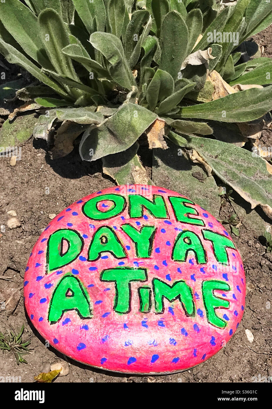 Painted rock found in Prince’s Island Park, Calgary, Alberta. - Smartphone Captured Stock Image
