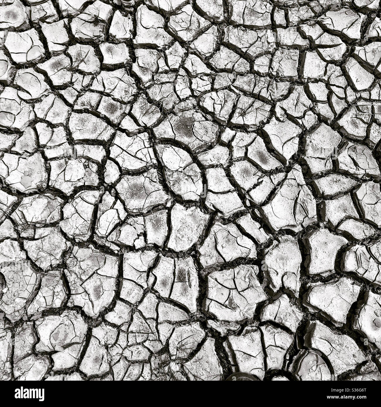 Cracked earth. - Smartphone Captured Stock Image