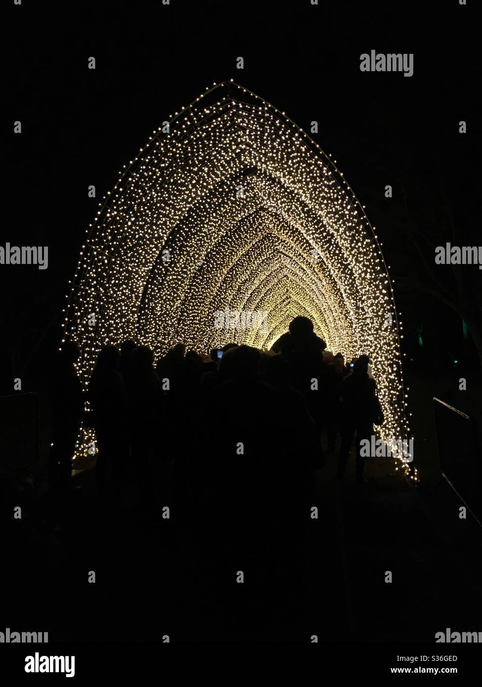 People in fairy light tunnel - Smartphone Captured Stock Image