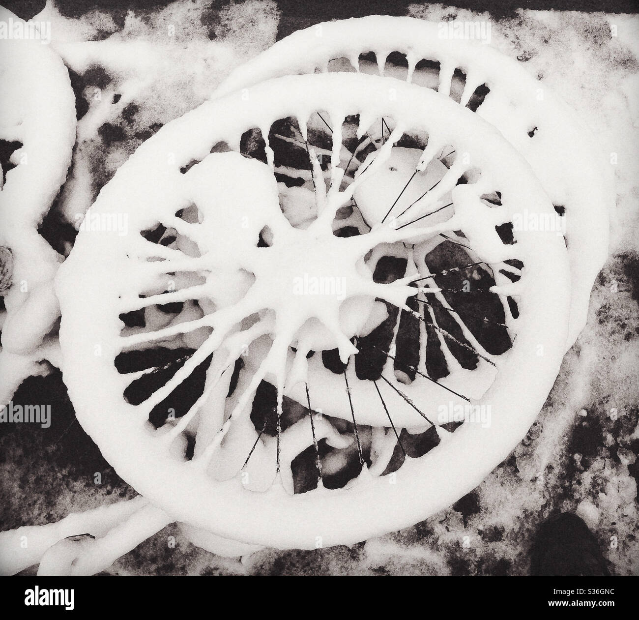Snow Covered Bicycle Wheels on the Ground Stock Photo