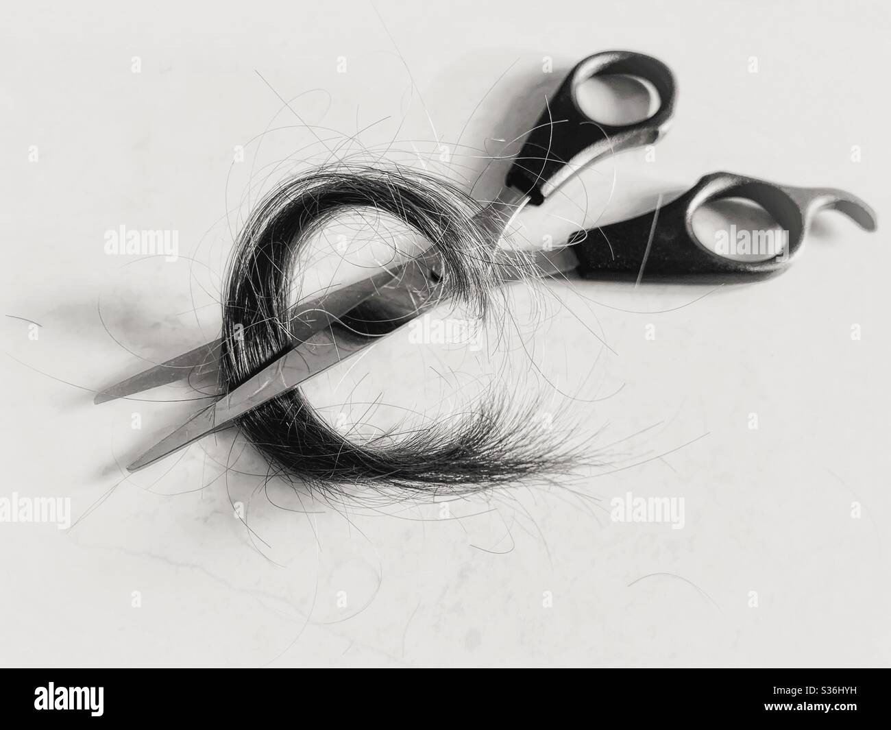 Black and white of a lock of hair between the scissor blades after a haircut - Smartphone Captured Stock Image