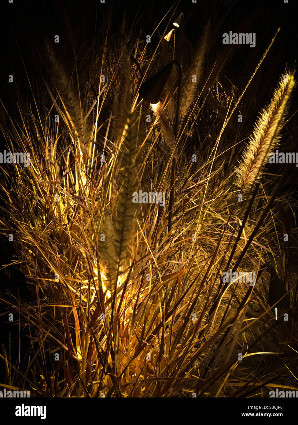 hay creatively used as a decoration by adding lights in Shaheed Park, Kuwait City Stock Photo