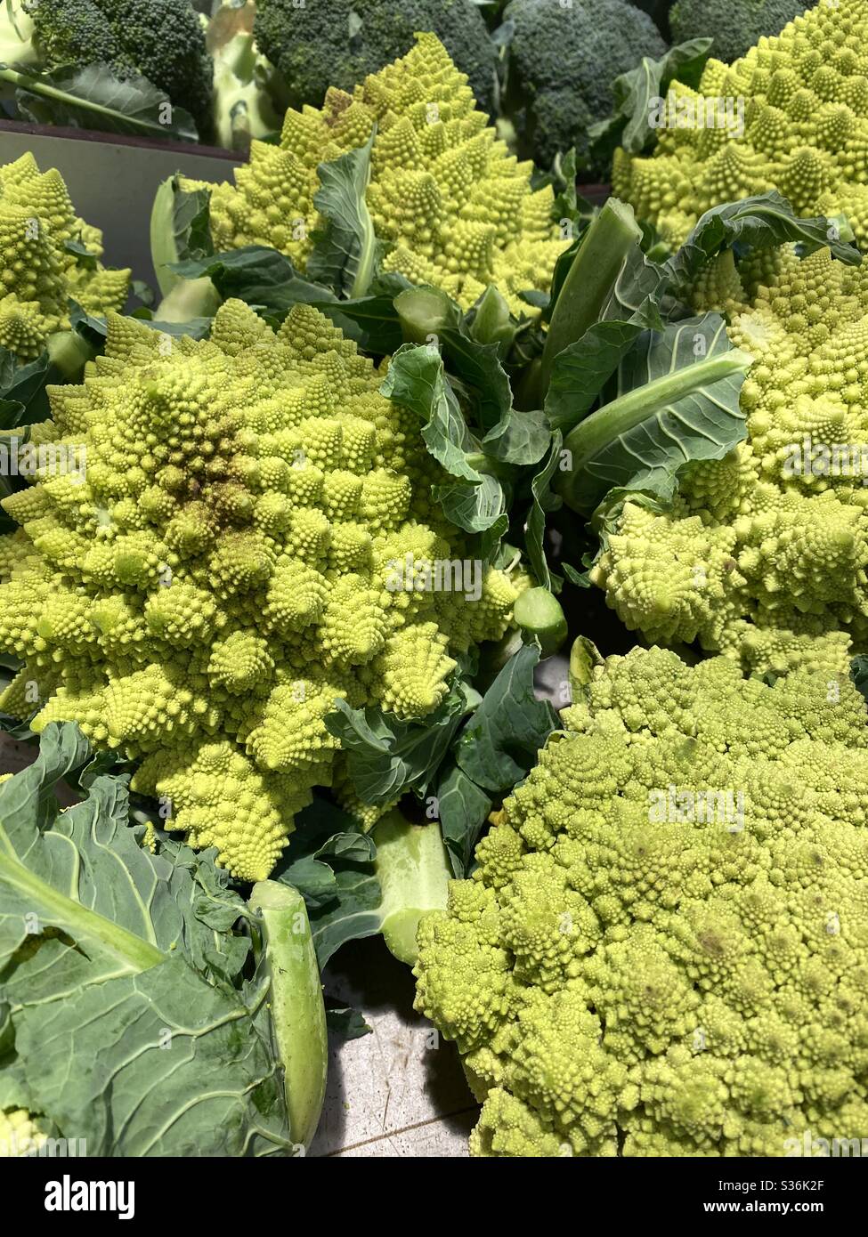 Romanesco Cauliflower Stock Photo Alamy