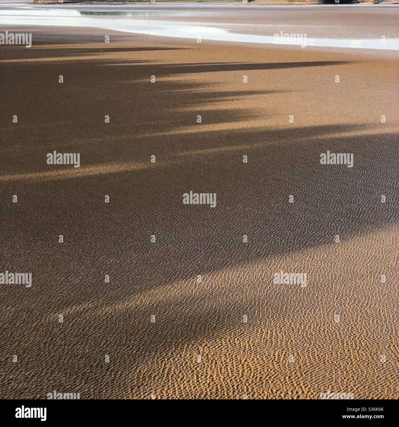 Shadow on the mud. - Smartphone Captured Stock Image