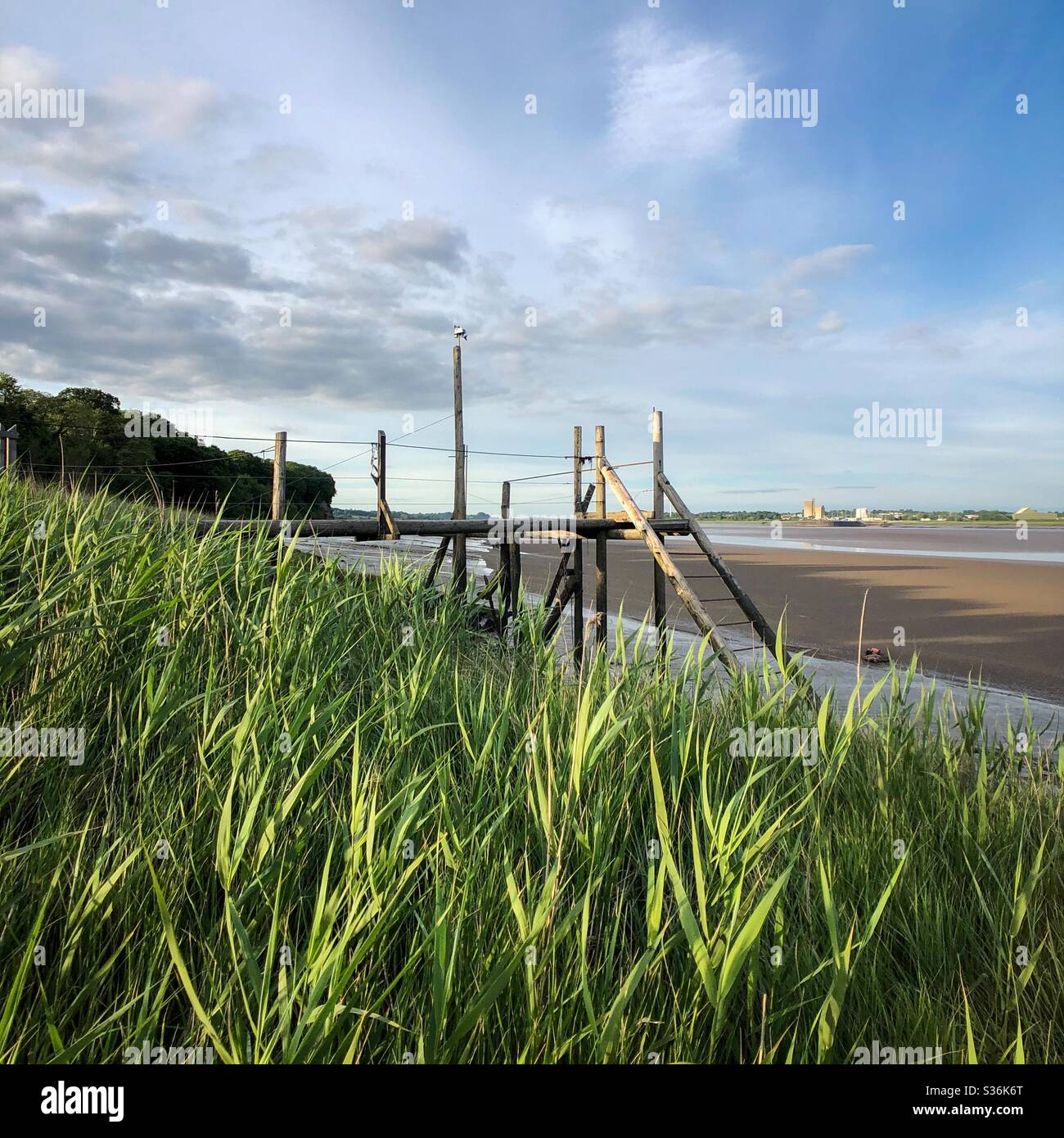 Harbour dock with reeds - Smartphone Captured Stock Image Harbour dock with reeds - Smartphone Captured Stock Image