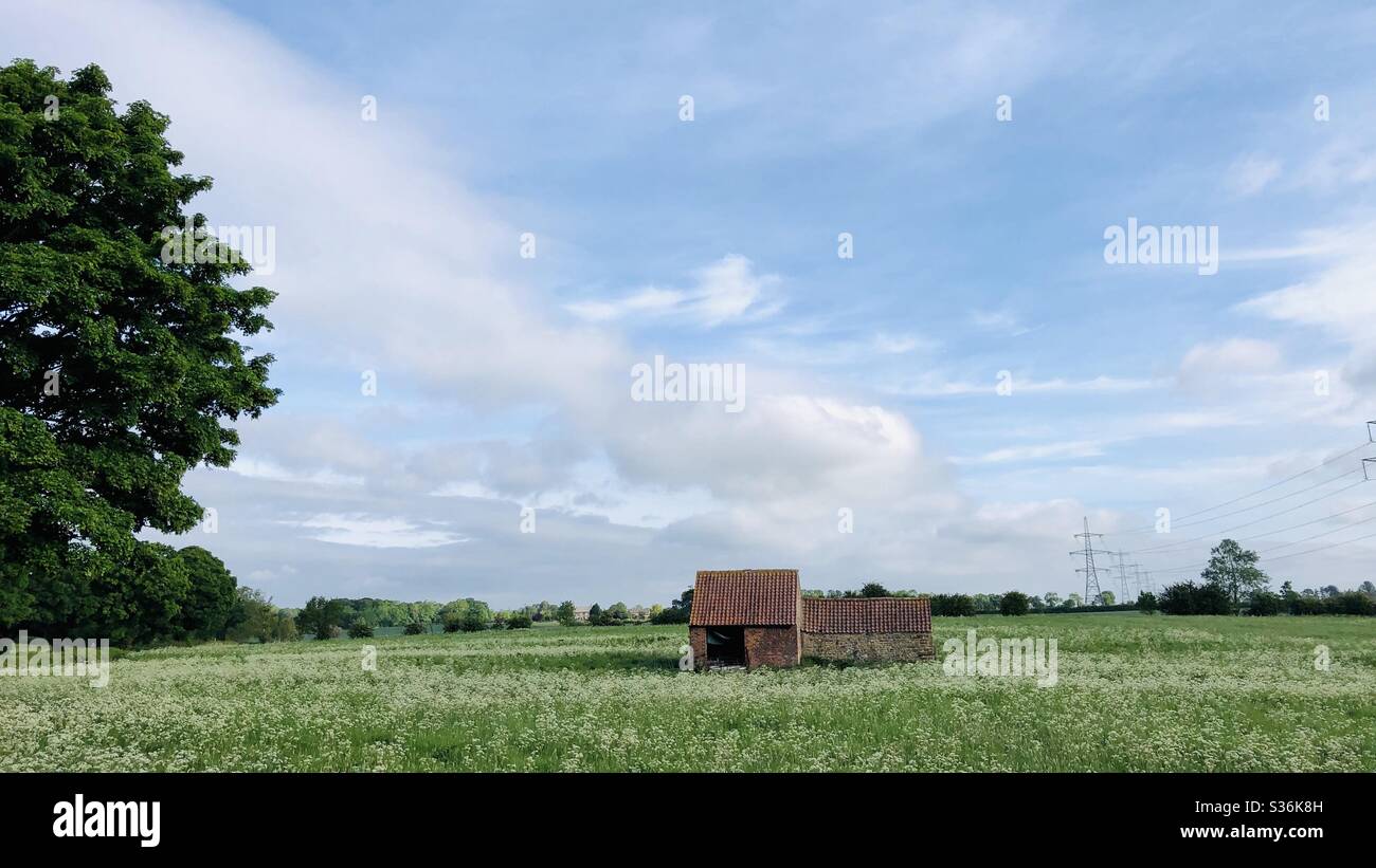 A brick built barn in a field in summer, North Yorkshire, England, United Kingdom Stock Photo