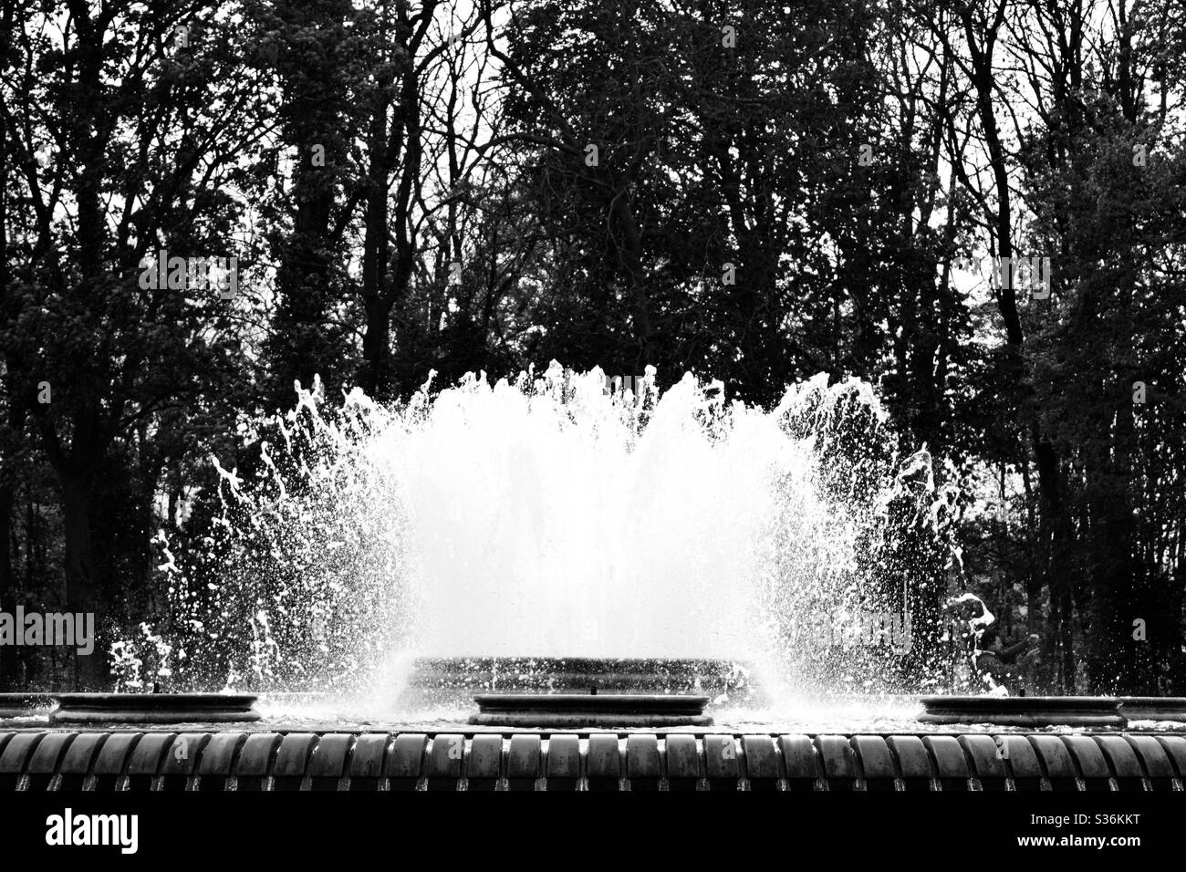 Big water fountain and having trees in the background. Black and white filter. Stock Photo