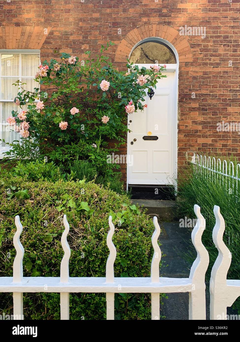 English Country Garden - Smartphone Captured Stock Image