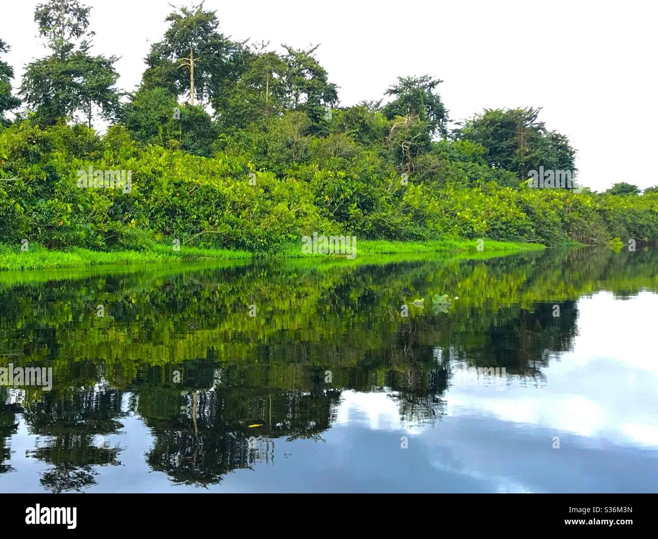 Calm river in Rural Guyana Stock Photo Alamy