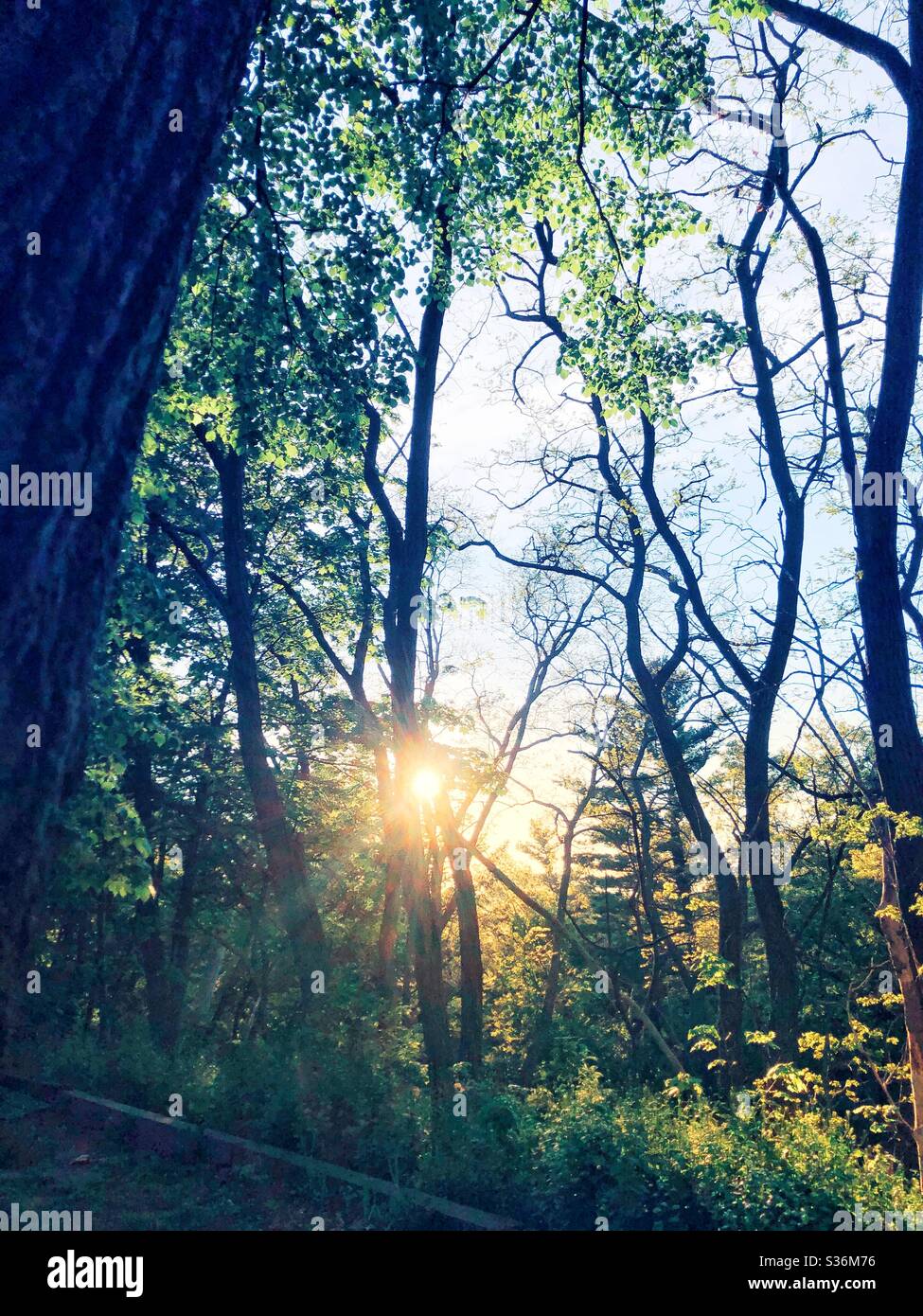 Shimmering sunlight hires stock photography and images Alamy
