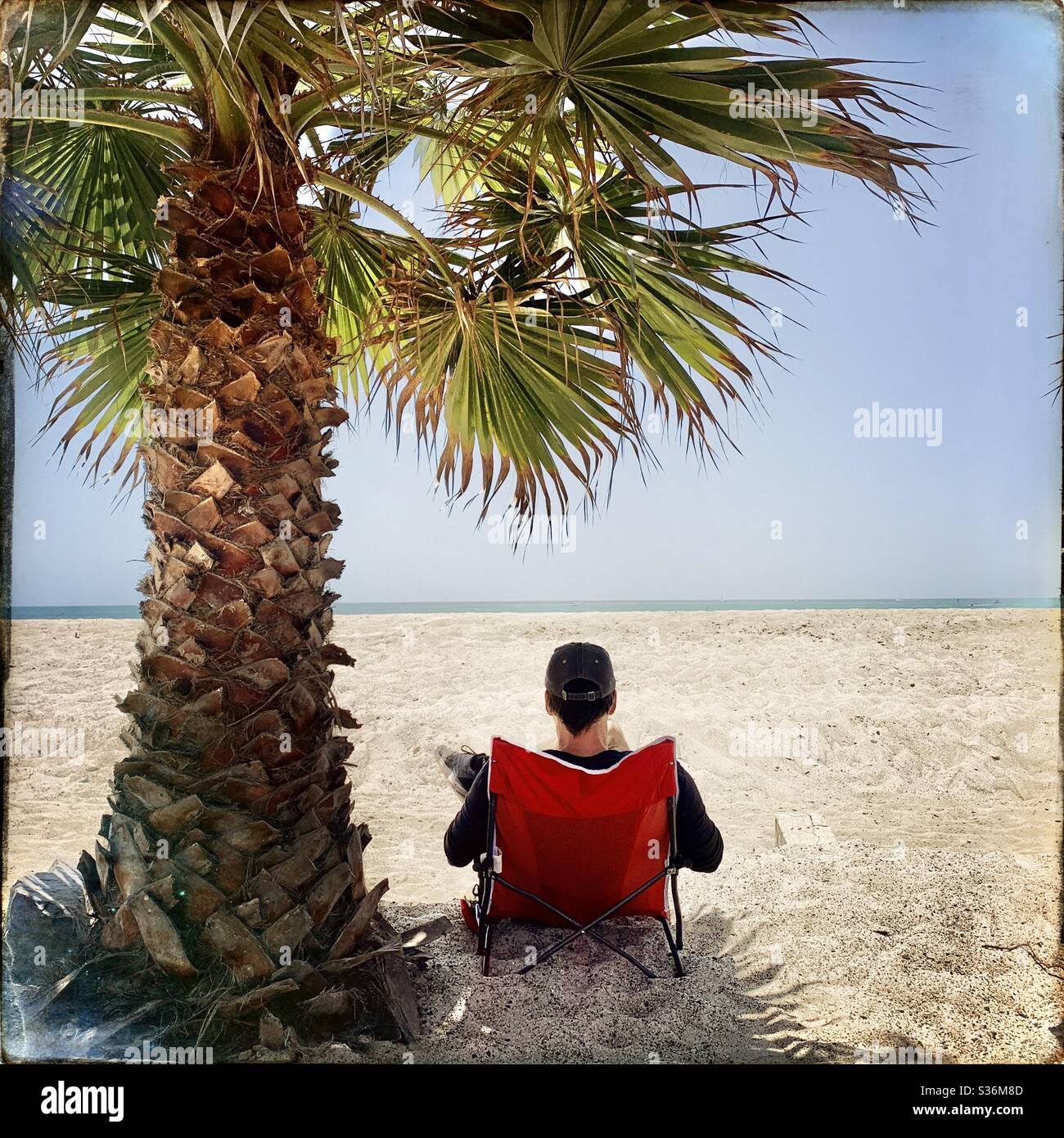 A man sits in a red beach chair under a palm tree on the beach in