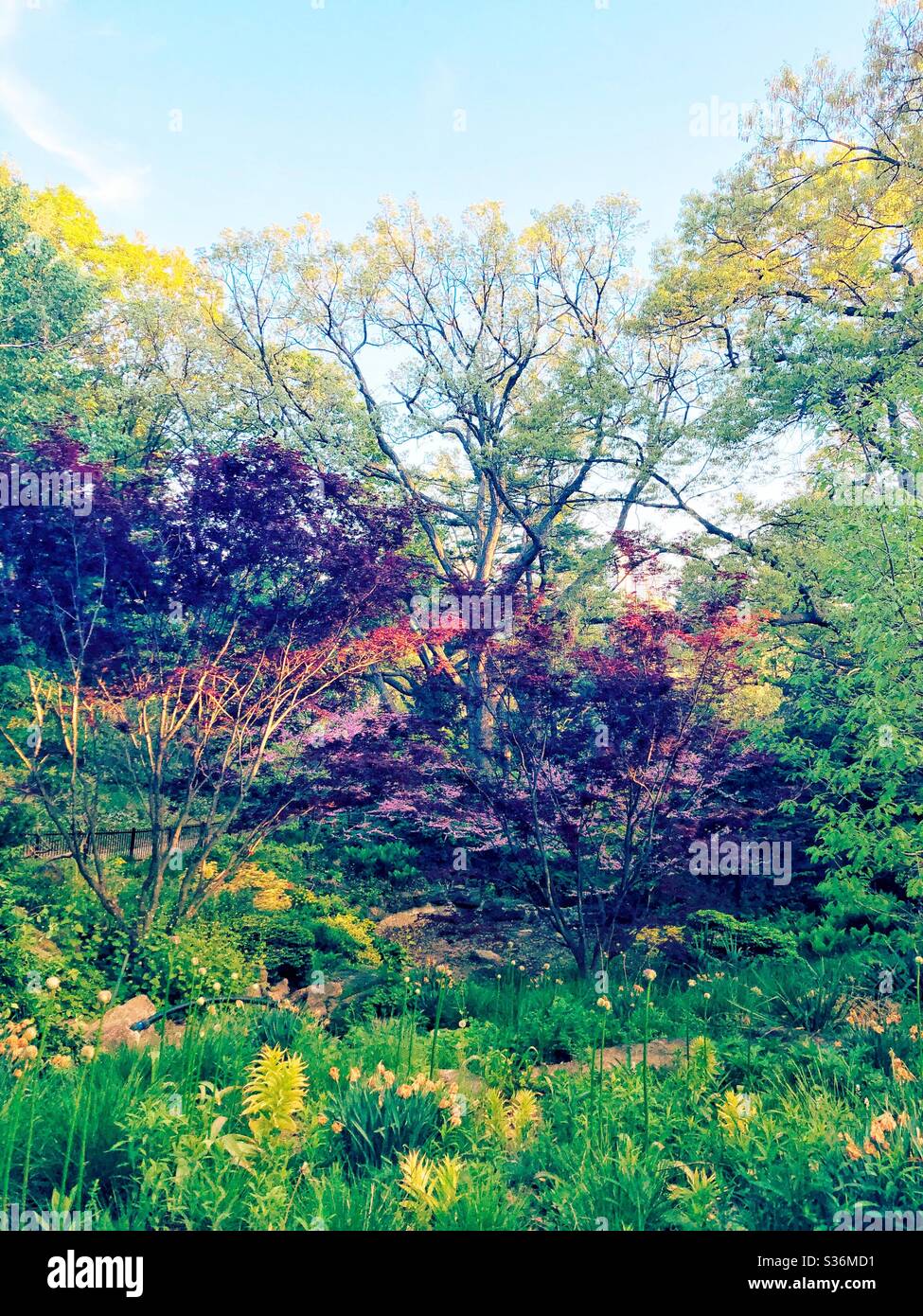 Natures Colours High Resolution Stock Photography and Images - Alamy
