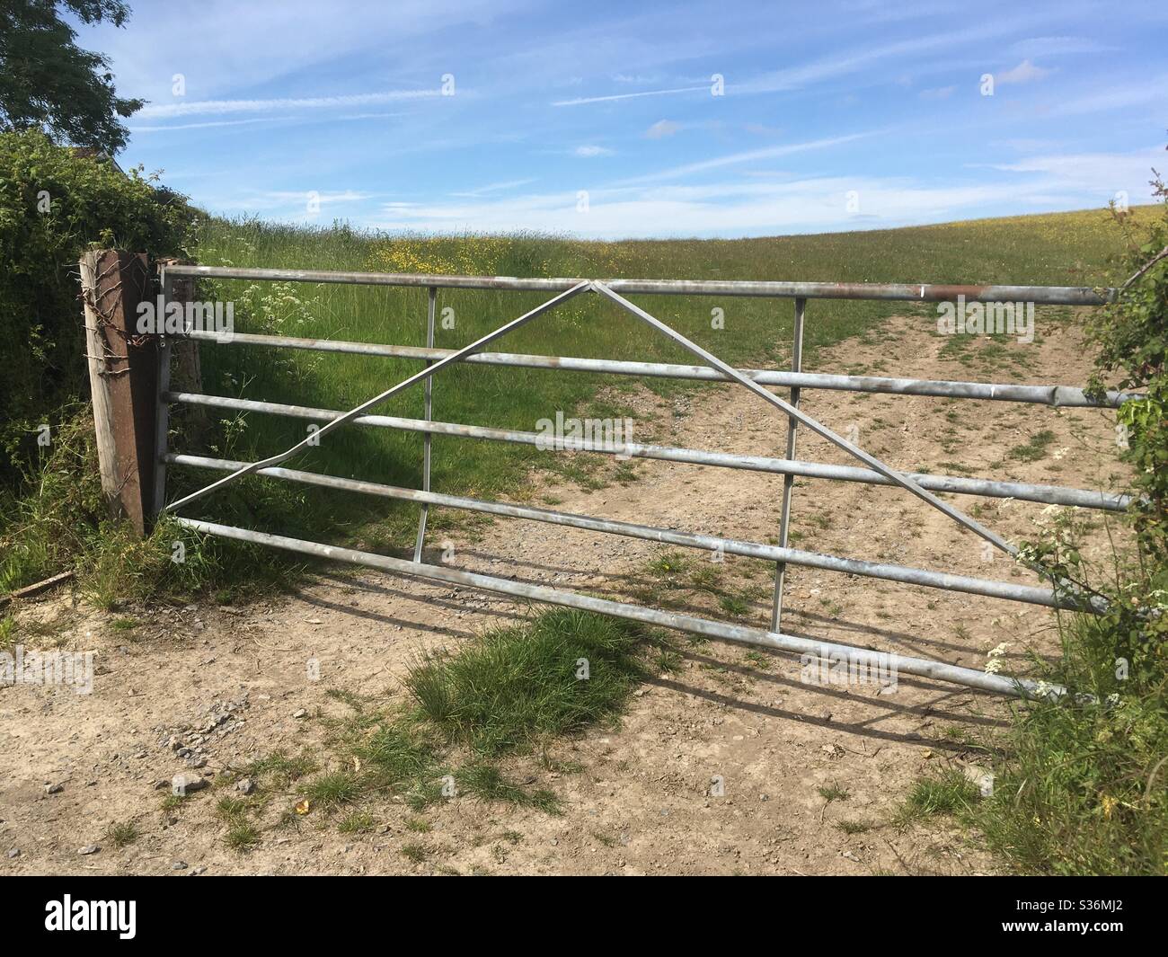 Closed metal farm gate into a field in spring, in the English countryside Stock Photo