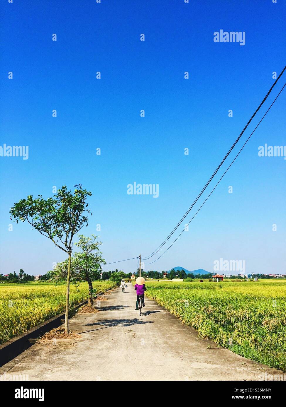 Vietnam field bicycle hi-res stock photography and images - Alamy