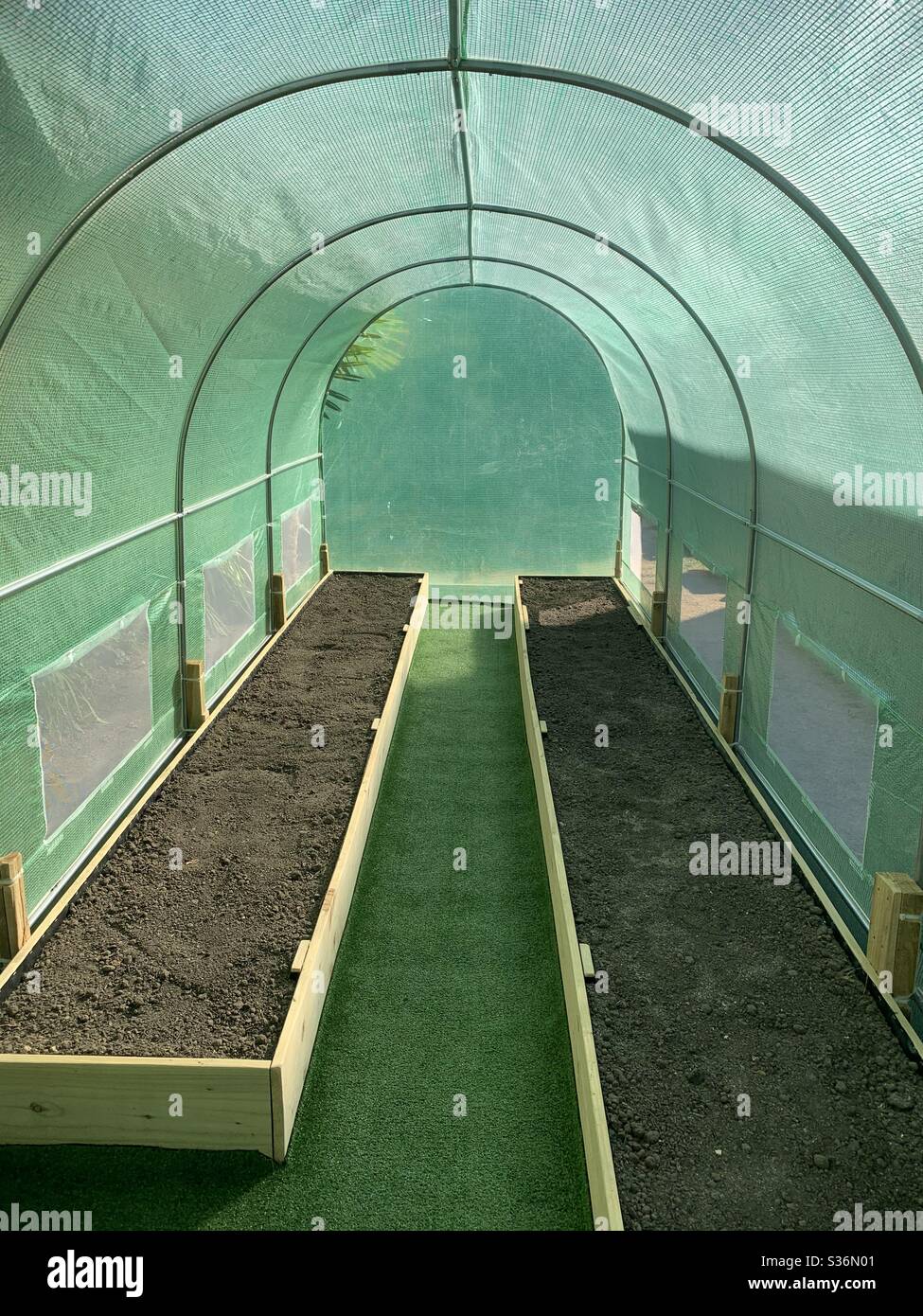 Newly erected poly tunnel with two large wooden raised beds willed with soil and surrounded by an artificial grass pathway. Stock Photo