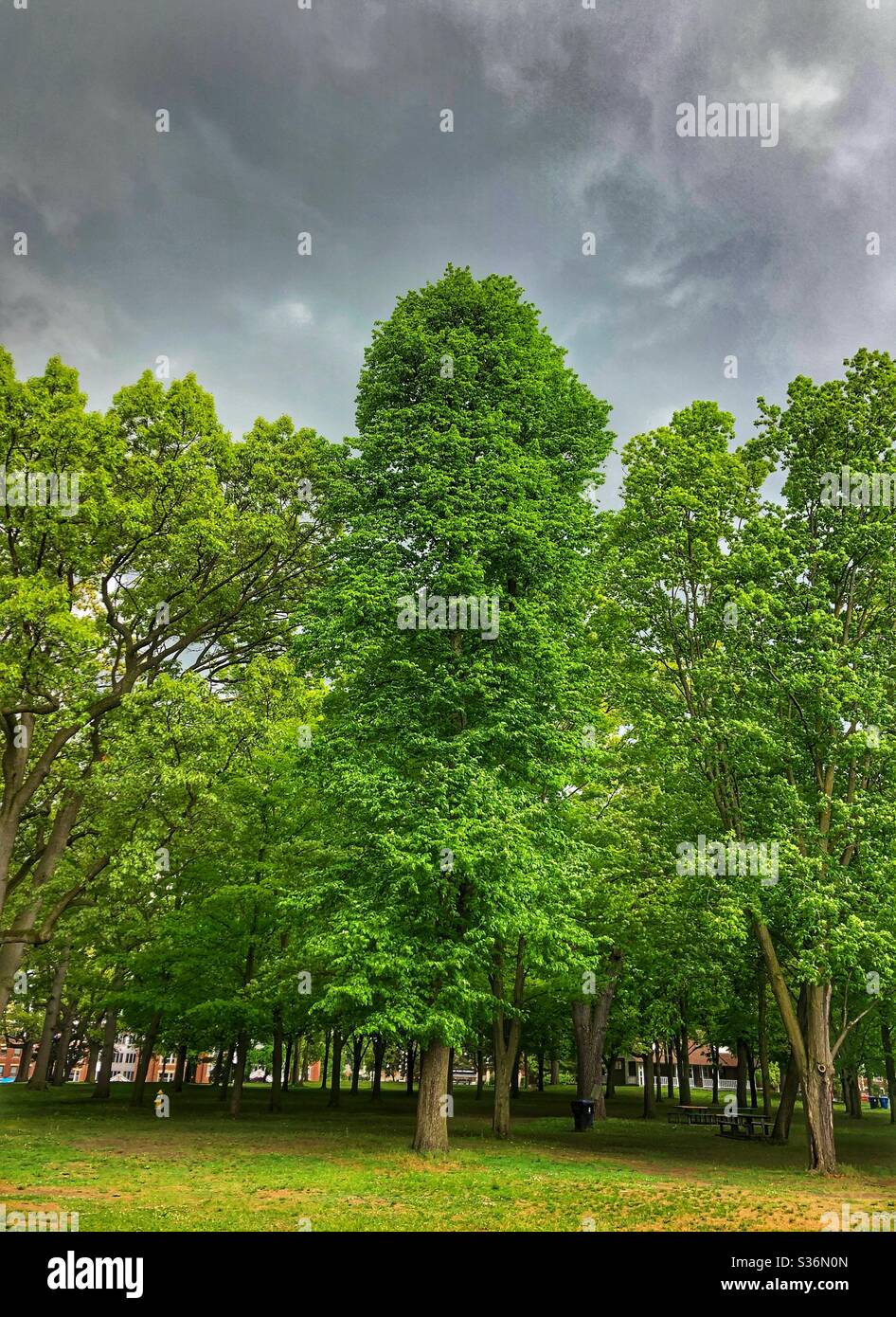 Storm clouds are rolling in. - Smartphone Captured Stock Image